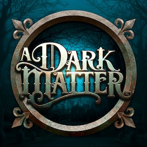 A Dark Matter