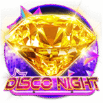 DiscoNight