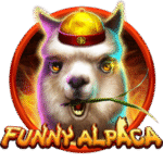 Funny Alpaca