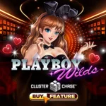 Playboy Wilds