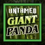 Untamed – Giant Panda