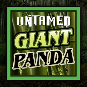 Untamed – Giant Panda